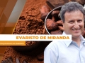 Evaristo de Miranda - Mestre Doutor em Ecologia