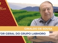 Ginaldo de Sousa