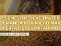 Stefan Podsclan - Consultor de Grãos e Projetos na Agrifatto