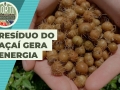 THUMB_HORTI RESENHA #62