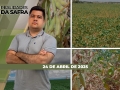 Realidades da Safra - Notícias Agrícolas