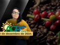 Bom Dia Agro 10/12/2024 - Com Carla Mendes