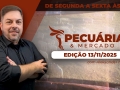 Pecuária e Mercado - Programa Completo
