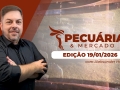 Pecuária e Mercado