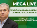 Paulo Molinari - Diretor Técnico da Safras & Mercado