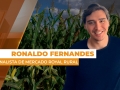 Ronaldo Fernandes - Analista de Mercado Royal Rural
