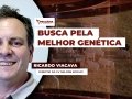 Ricardo Viacava - Diretor da CV Nelore Mocho