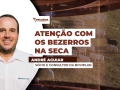 André Aguiar - Sócio e Consultor da Boviplan