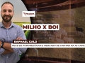 Raphael Galo - Head de Agronegócios e Mercado de Capitais na A7 Capital