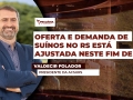 Valdecir Folador - Presidente da ACSURS
