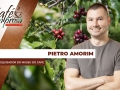 Pietro Amorim