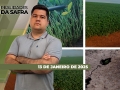 Realidades da Safra - Notícias Agrícolas
