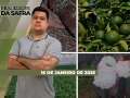 Realidades da Safra - Notícias Agrícolas