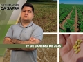 Realidades da Safra - Notícias Agrícolas