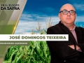 José Domingos Teixeira - Engenheiro Agrônomo