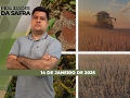 Realidades da Safra - Notícias Agrícolas