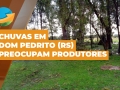 José Roberto Weber - Presidente do Sind. Rural de Dom Pedrito/RS