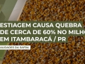 Mário Teixeira Marinho Neto - Produtor Rural na Região de Itambaracá/PR