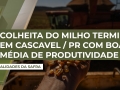 Modesto Félix - Vice-Presidente do Sindicato Rural de Cascavel/PR