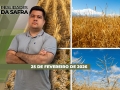 Realidades da Safra - Notícias Agrícolas