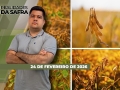 Realidades da Safra - Notícias Agrícolas