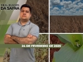 Realidades da Safra - Notícias Agrícolas