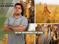 Realidades da Safra - Notícias Agrícolas