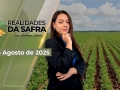 Realidades da Safra - Notícias Agrícolas