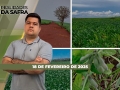 Realidades da Safra - Notícias Agrícolas