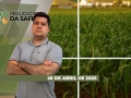 Realidades da Safra - Notícias Agrícolas