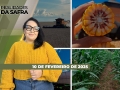 Realidades da Safra - Notícias Agrícolas