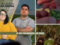 Realidades da Safra - Notícias Agrícolas