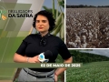 Realidades da Safra - Notícias Agrícolas