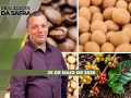 Realidades da Safra - Notícias Agrícolas