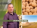 Realidades da Safra - Notícias Agrícolas
