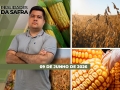 Realidades da Safra - Notícias Agrícolas