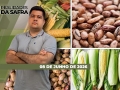 Realidades da Safra - Notícias Agrícolas