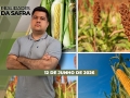 Realidades da Safra - Notícias Agrícolas