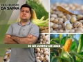 Realidades da Safra - Notícias Agrícolas