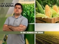 Realidades da Safra Notícias Agrícolas