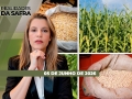 Realidades da Safra - Notícias Agrícolas