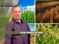 Realidades da Safra - Notícias Agrícolas