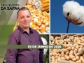 Realidades da Safra - Notícias Agrícolas