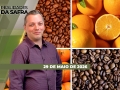 Realidades da Safra - Notícias Agrícolas