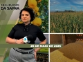 Realidades da Safra - Notícias Agrícolas