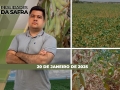 Realidades da Safra - Notícias Agrícolas