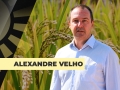 Alexandre Velho - Presidente da Federarroz