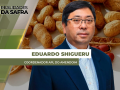 Eduardo Shigueru - Coordenador APl do Amendoim