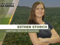 Esther Storch - Diretora Sócia da DASAGRO
