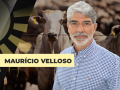 Maurício Velloso - Presidente Assocon